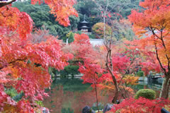 永観堂（禅林寺）