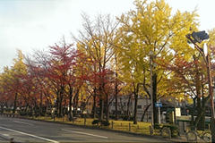 東本願寺前緑地帯