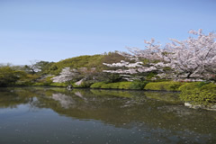 日本で初めてお花見が行われたと伝わる，神泉苑