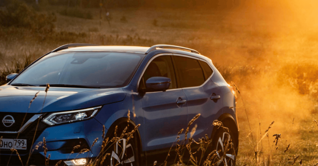 セルカのデメリット