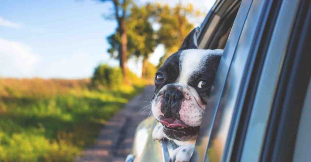 ガソリン代予想まとめ