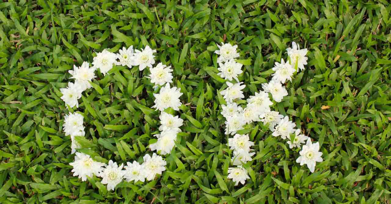 マリオットマーキーズの良い口コミ