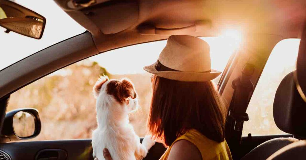 魅力の多いハイラックス