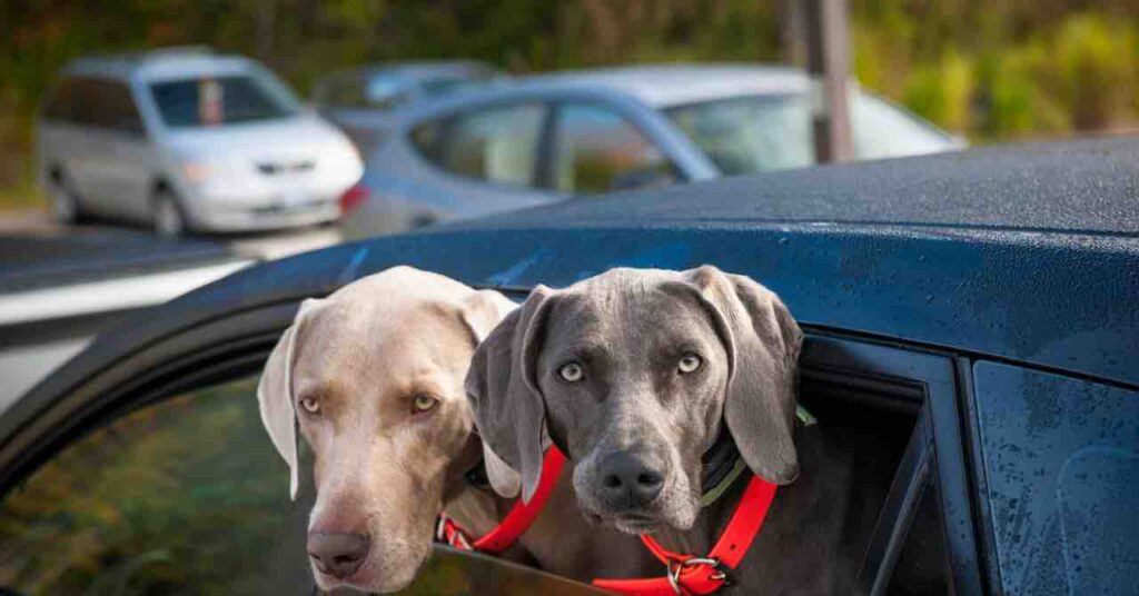 新型ステップワゴンの口コミ