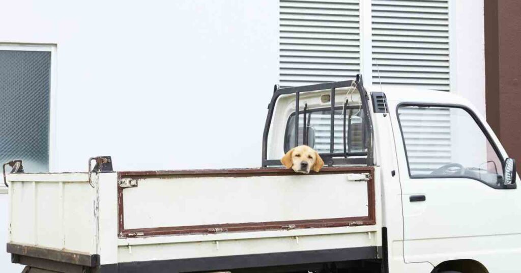 20年落ち軽トラの口コミ