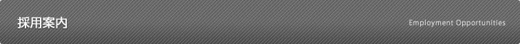 採用情報